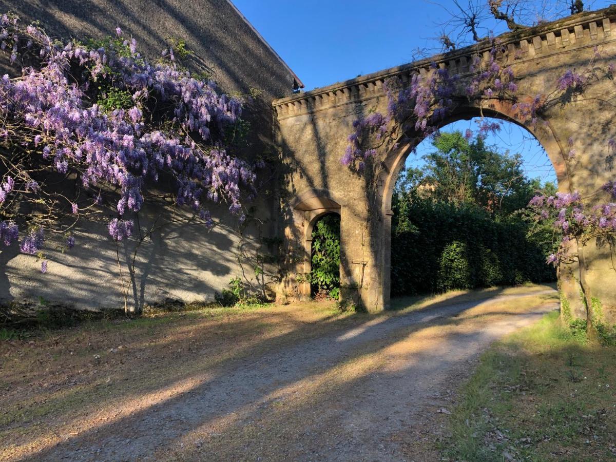 Chateau De La Mothe Saint-Sulpice-en-Pareds Exterior photo